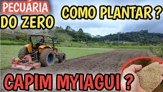 Como plantar o melhor capim passo a passo do plantio manual do Myiagui PROJETO PECUÁRIA DO ZERO [upl. by Peonir]