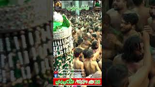 Taboot 28 SAFAR SHAHADAT IMAM HASSAN MUJTAB AS Imamia imam bargah jhelum short taboot [upl. by Green11]