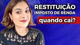 RESTITUIÇÃO DO IMPOSTO DE RENDA 2023  Quando e Como Receber [upl. by Ynots77]