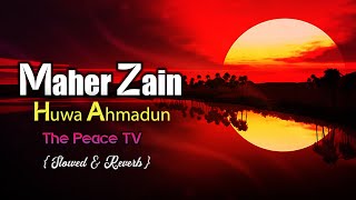 Maher Zain  Huwa Ahmadun   Slowed amp Reverb   Tha Peace Tv Sk Billion  ماهر زين  هو أحمدٌ [upl. by Barbara]