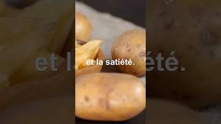 POMME DE TERRE NUTRITION ET SATIÉTÉ  PommeDeTerre Santé Potassium [upl. by Subir486]