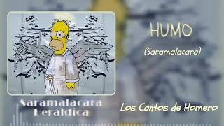 HUMO Saramalacara  Homero Simpson [upl. by Wolsniw]