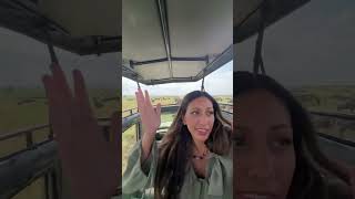 Tanzanie vlog animals wildlife safari africa elephant travel france safari africa [upl. by Norven]