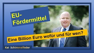 EU Fördergelder und EU Fördermittel beantragen [upl. by Gee]