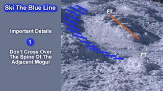 How To Ski Moguls  Blue Line Mogul Skiing Technique Video Intro [upl. by Charisse]