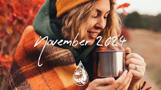 IndiePopFolk Compilation  November 2024 2½Hour Playlist [upl. by Haidabez]