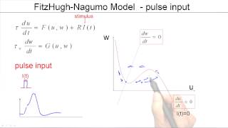 44b Firing threshold in 2D models [upl. by Ahsakal]