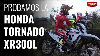 Opinión Honda Tornado XR300L [upl. by Nirol]