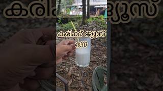 Uppilittathum karikku juice at muvattupuzha muvattupuzha mcroad karikku juice uppilittathu [upl. by Halas]