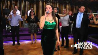 11 Revelion Restaurant Dunarea 2015  Ana Maria Oprisan colaj hore  LIVE  cover [upl. by Yanrahc245]