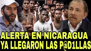 ALERTA EN TODO NICARAGUA YA LLEGARON LAS PND1LLAS YA MOSTRARON SU PRESENCIAADANIEL ORTEGA [upl. by Ziguard37]