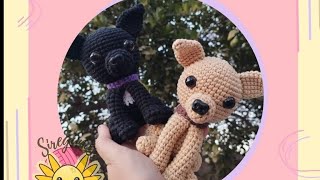 patron amigurumi perrito chihuahua [upl. by Adnesor]