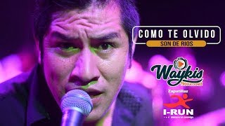 Como Te Olvido  Son de Rios en Vivo l Piura Waykis Producciones [upl. by Lunn]