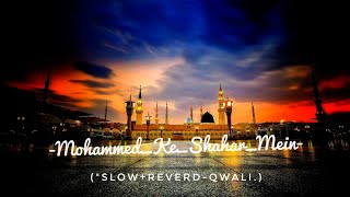 mohammad🌹 ke shahar mein💚 slowed reverb [upl. by Nuahsal]