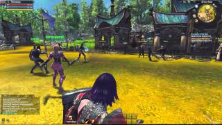 RaiderZ Gameplay First Look HD  MMOscom [upl. by Janyte741]