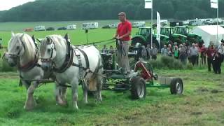 PferdeStark 2017 Präsentation landwirtschaftlicher Zuggeräte sowie Leistungspflügen [upl. by Kristine]