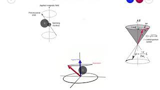 LARMOR PRECESSION  atomic physics [upl. by Rednas]