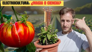 Secretos del Crecimiento Vegetal Desvelados ¡El Poder de las Antenas de ElectroCultivo [upl. by Gerstein]