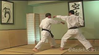 Hirokazu Kanazawa  Mastering Karate  Vol3  Kihon Ido SandanLevel Combinations [upl. by Ltsyrk]