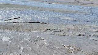 Multicolored Bacterial Mat Midway Geyser Basin Yellowstone National Park USA [upl. by Attalanta]