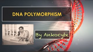 DNA Polymorphisms and its classifications [upl. by Herzel]