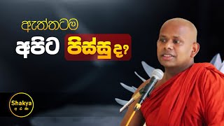 ඇත්තටම අපිට පිස්සුද   ven Welimada Saddaseela thero shakyaarana [upl. by Navets]