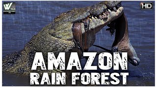 अमेज़न का जंगल का रहस्य आप को हैरान कर देगी  Amazon Rain Forest  World Documentary HD [upl. by Kit]