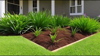 6 Ways to Get Rid of Quackgrass A Lawn Owners Guide [upl. by Darreg]