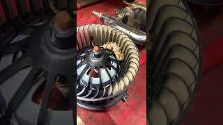 Why Is My Blower Motor Making Noise mechanic automobile automotive [upl. by Dempster]