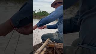 Hooked Hemibagrus fish at river fishingvideo fishingtechniques catchingfish fish reels shorts [upl. by Ycal279]