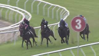 Heat 3 Doomben Jumpouts 1009 [upl. by Hocker]