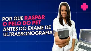 Tricotomia uma preparação INDISPENSÁVEL para o exame de ultrassonografia veterinária [upl. by Ruff62]