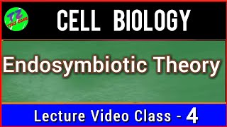 Endosymbiotic Theory  Symbiogenesis  Evolution Of Eukaryotic Cell [upl. by Nueovas]