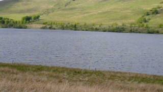 Muirhead Reservoir [upl. by Morril]