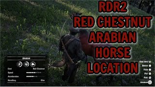 RDR2 RED CHESTNUT ARABIAN HORSE LOCATION [upl. by Fabriane239]