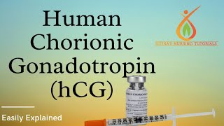 Human Chorionic Gonadotropin  HCG  Hindi Explanation  Value  Functions [upl. by Noek]