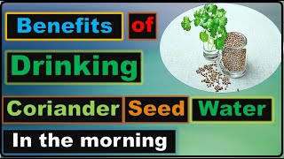 6 Benefits Of Drinking Coriander Seeds Water [upl. by Enieledam]