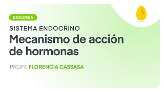 Mecanismo de acción de hormonas  Biología  Sistema Endocrino  V2  Egg Educación [upl. by Liakim942]