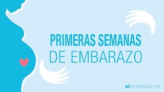 Primeras semanas de embarazo  El embarazo semana a semana [upl. by Aicnetroh]