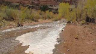 Flash flood little things in the Maze Canyonlands Utah  Part II [upl. by Tsepmet]