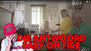 DIE ANTWOORD  BABY ON FIRE REACTION [upl. by Lukasz838]