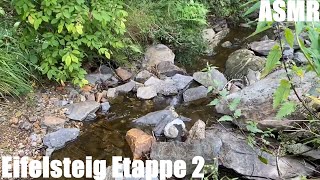 Eifelsteig Etappe 2  Natur pur  Fernwanderweg in der Eifel  longdistance hiking trail  ASMR [upl. by Him]