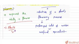 What is the main role of vernalisation in plants [upl. by Verger259]