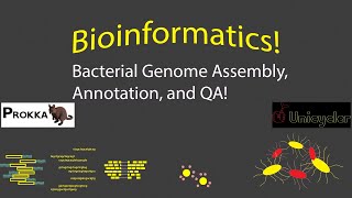 Bioinformatics  Assembling Annotating and QA for Bacterial Genomes [upl. by Acenahs]