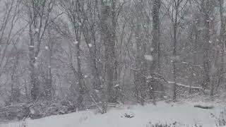 Winter Snowstorm  December 2020  WinterSnowFall WinterSnow December2020 [upl. by Con]