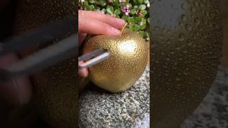 Beautiful and fresh💦 golden Apple🍎 cutting video🍑 🥝🍏🍐🍓 ninjafruitcutting fruitcutting [upl. by Eniahpets830]