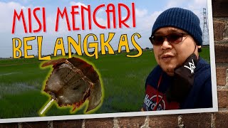 Makan Belangkas Di Aji Mentarang Bakar Kuala Selangor  Eating Horseshoe Crabs [upl. by Nairde626]