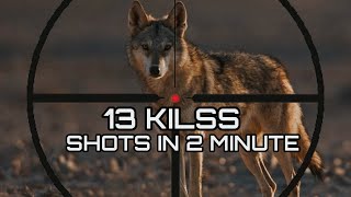 13 Coyote Shots In 2 Minutes❗coyotehunting coyotes winterpredator wolf coyoteshunting [upl. by Airreis]