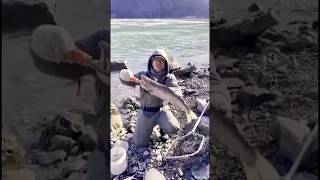 Salmon Fishing Adventure on Niagara River [upl. by Mcginnis]