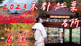 2023京都紅葉六選｜清水寺、東福寺、八坂神社、醍醐寺、吉田大社、舊竹林院、伏見稻荷大社｜日本絕景｜人潮爆炸多｜福岡女孩日本旅遊・京都自由行必去景點ep42 [upl. by Irene]